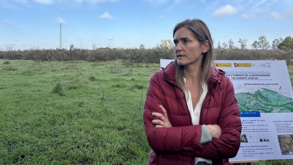 En marcha las ayudas del Gobierno para que los agricultores del entorno de Doñana dejen de cultivar