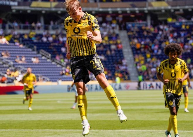 El Borussia Dortmund prohíbe al partido ultra alemán AfD usar los colores del equipo en su campaña electoral
