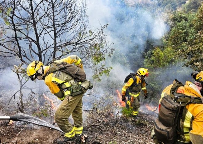 Los bomberos forestales de Madrid retoman la huelga sin ningún avance en la negociación con el Gobierno de Ayuso