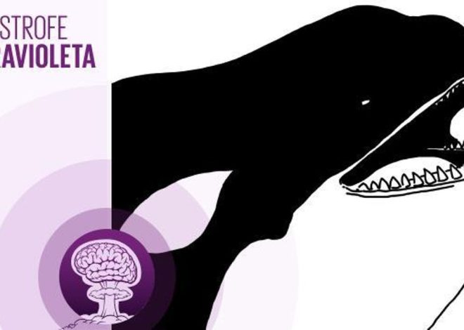 🎙 PODCAST | Morgan o la historia de una de las criaturas más inteligentes de la Tierra