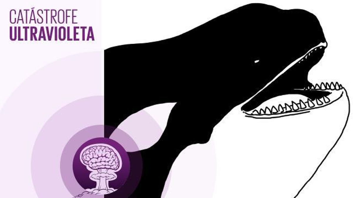 🎙 PODCAST | Morgan o la historia de una de las criaturas más inteligentes de la Tierra