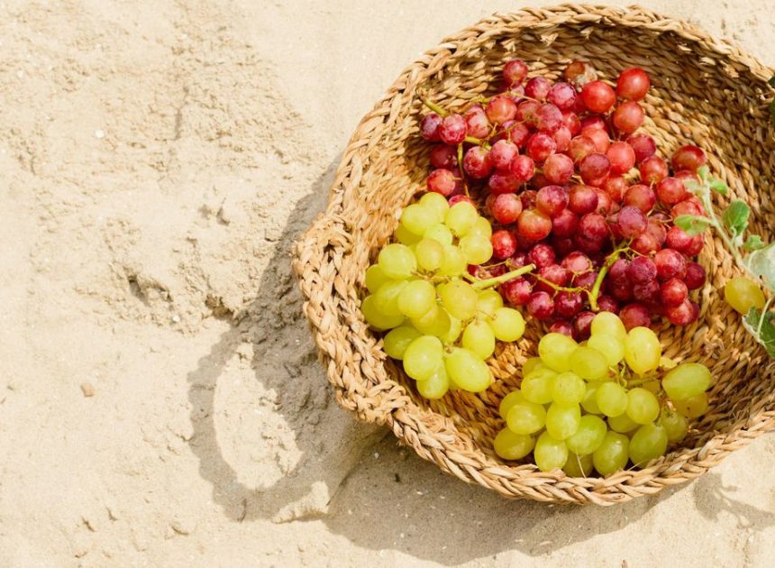 ¿Qué fruta comer en la playa? Cuáles puedes llevar, cuáles no y cómo debes hacerlo
