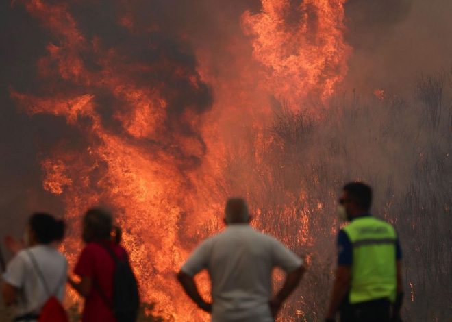 Los incendios se reducen a ocho en Asturias: cuatro activos y otros tantos controlados