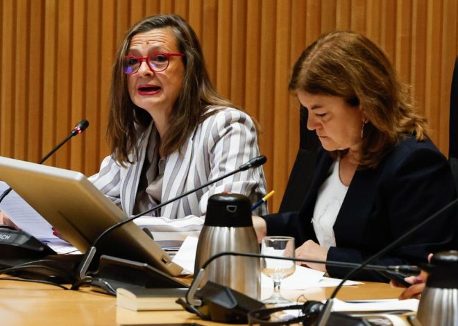 La delegada contra la Violencia de Género, sobre las pulseras antimaltrato: «Las mujeres siempre han estado protegidas»