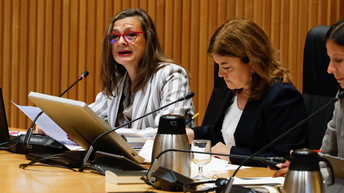 La delegada contra la Violencia de Género, sobre las pulseras antimaltrato: «Las mujeres siempre han estado protegidas»