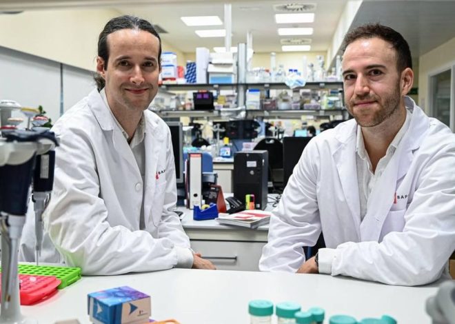 Un algoritmo epigenético rastrea el origen del cáncer y predice su progresión