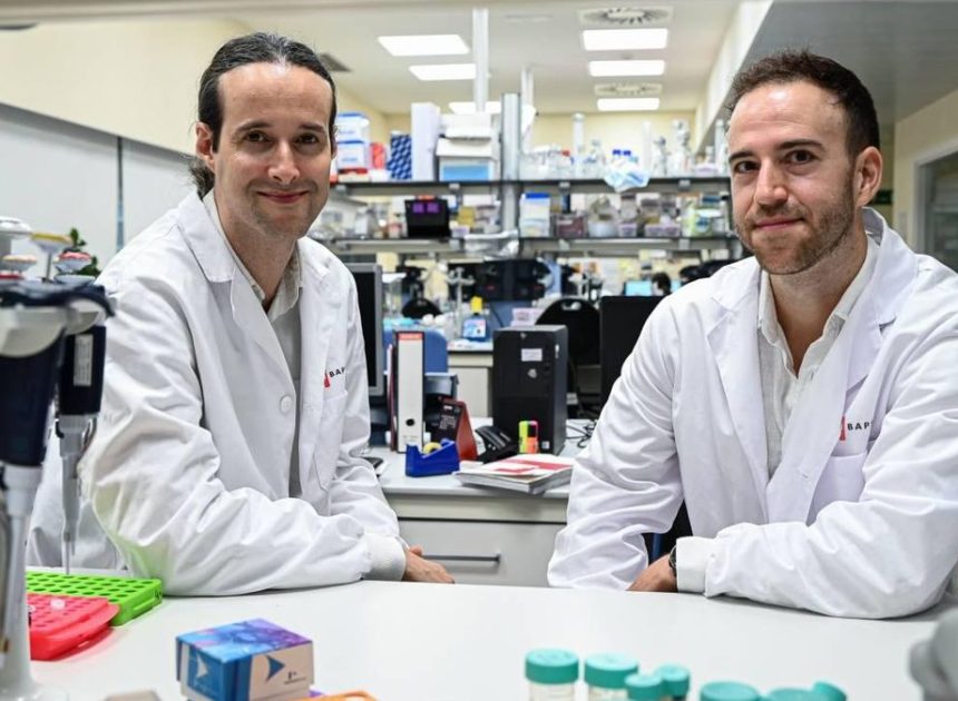 Un algoritmo epigenético rastrea el origen del cáncer y predice su progresión