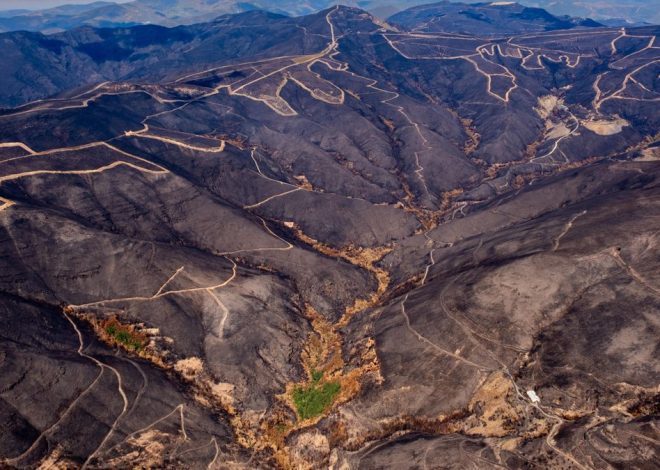 FOTOS | La devastación de los incendios en Castilla y León y Galicia, vista desde el aire