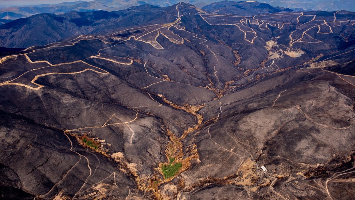 FOTOS | La devastación de los incendios en Castilla y León y Galicia, vista desde el aire