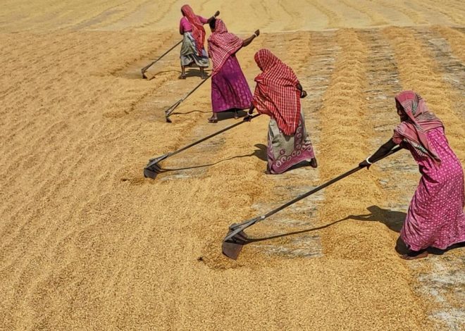 El calentamiento global ya juega con ‘las cosas del comer’: las cosechas son ahora una montaña rusa y vienen más curvas
