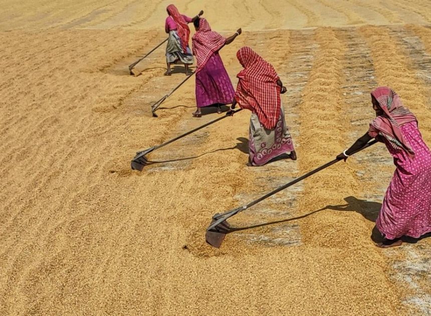 El calentamiento global ya juega con ‘las cosas del comer’: las cosechas son ahora una montaña rusa y vienen más curvas