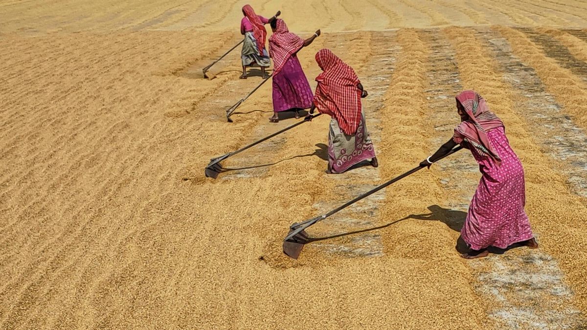 El calentamiento global ya juega con ‘las cosas del comer’: las cosechas son ahora una montaña rusa y vienen más curvas
