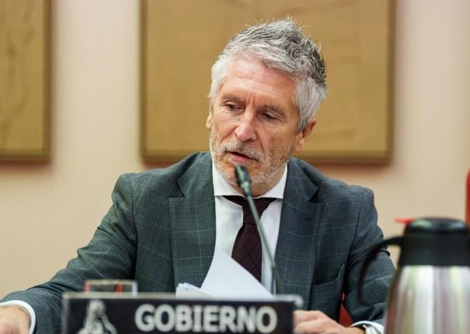 Marlaska destaca la «coordinación institucional» en los incendios y reprocha al PP sus «manifestaciones interesadas»