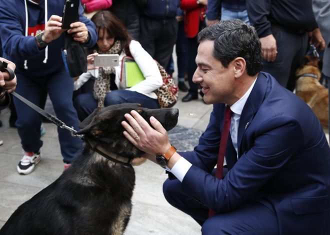Moreno lanza su séptima rebaja fiscal en Andalucía: ahorro de 100 euros en el IRPF para quien adopte un perro