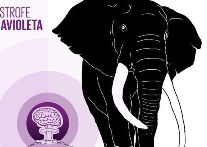 🎙 PODCAST | El gabinete de historia natural o el rey que trajo los elefantes a España