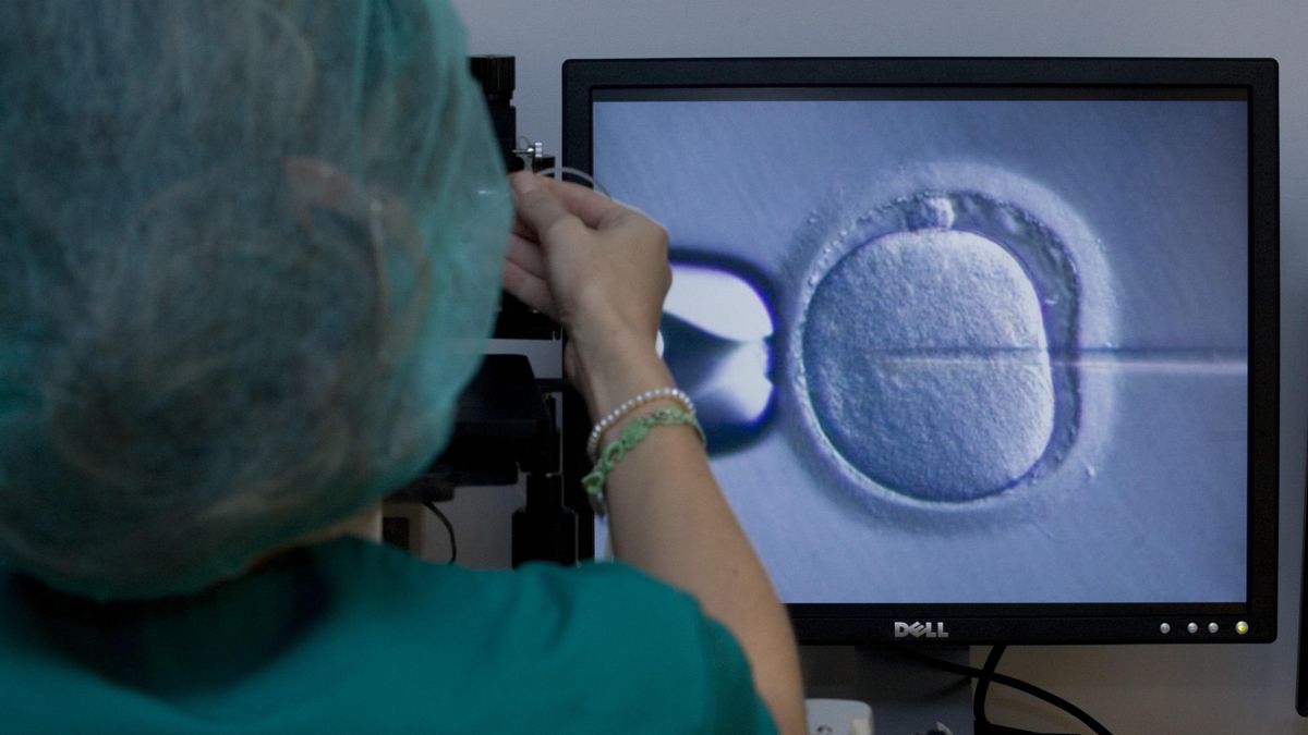 La gran promesa de la Xunta para ampliar a los 45 años la reproducción asistida incluye menos supuestos de los anunciados