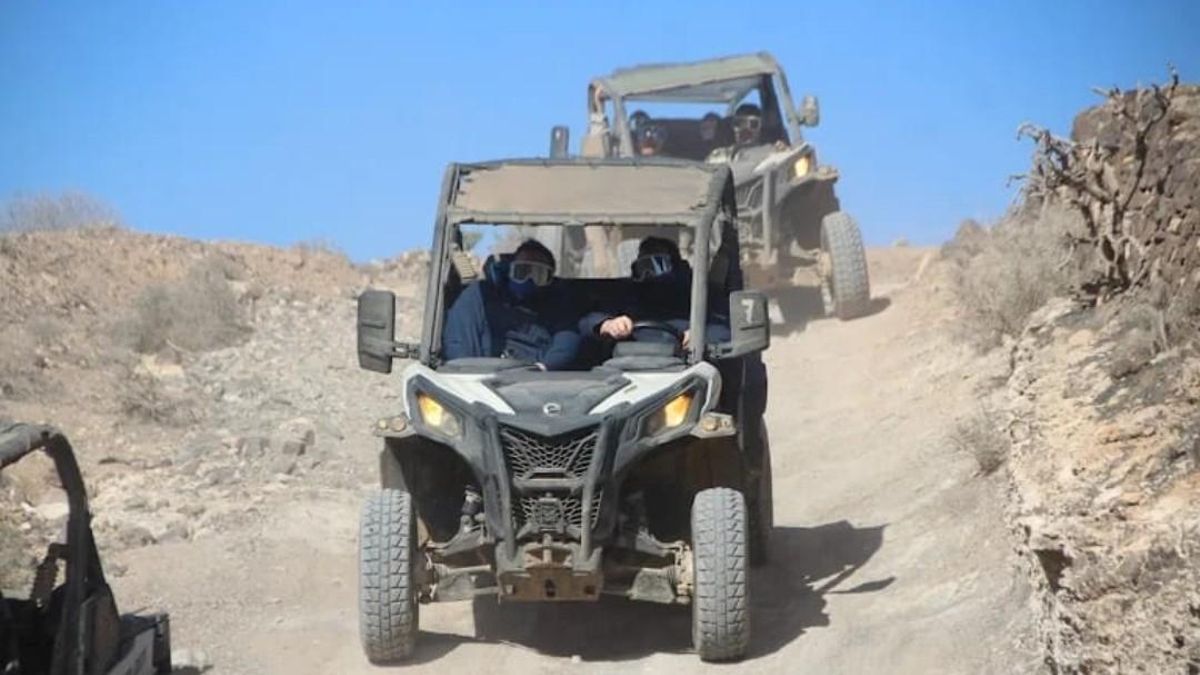 Conducir un buggy por Lanzarote: la atracción turística que molesta a los residentes y espanta a las aves protegidas