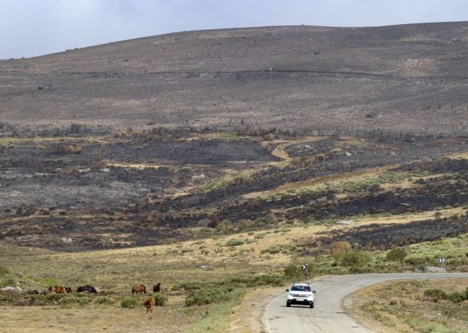 Todos los incendios de Castilla y León, en nivel mínimo de peligro