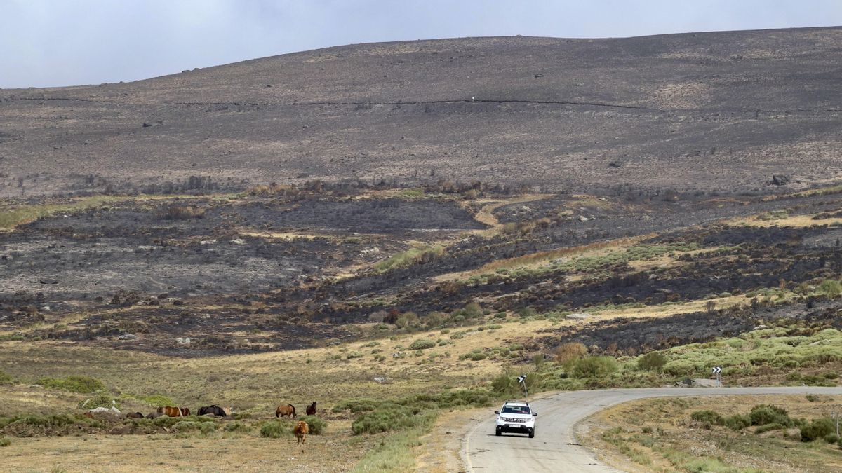Todos los incendios de Castilla y León, en nivel mínimo de peligro