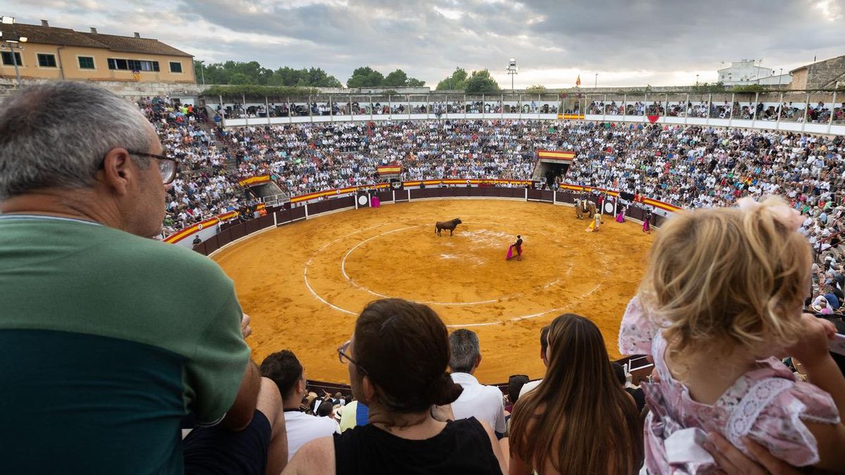 Mallorca pasa de prohibir los toros a llenar plazas: «Las instituciones inflan artificialmente este espectáculo»
