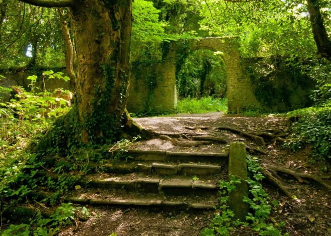 Los 5 bosques más mágicos de Irlanda del Norte para aprovechar el otoño