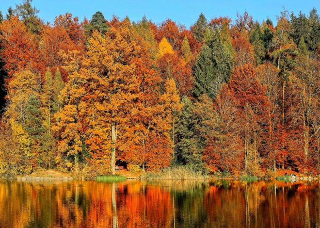 Cuándo empieza el otoño 2025: fecha y hora exactas del equinoccio