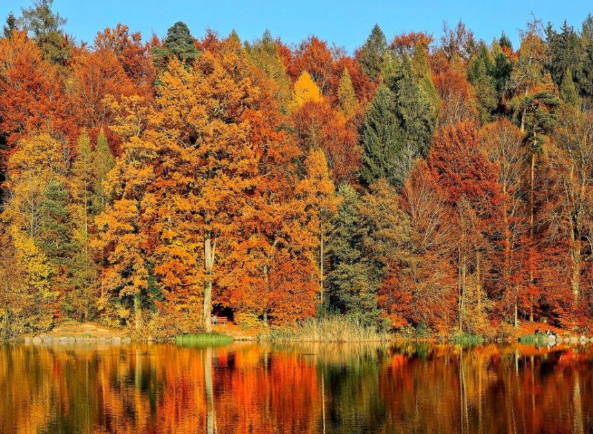 Cuándo empieza el otoño 2025: fecha y hora exactas del equinoccio