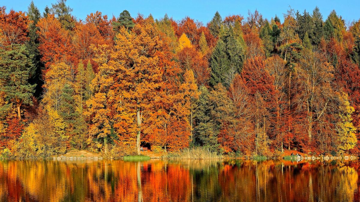 Cuándo empieza el otoño 2025: fecha y hora exactas del equinoccio