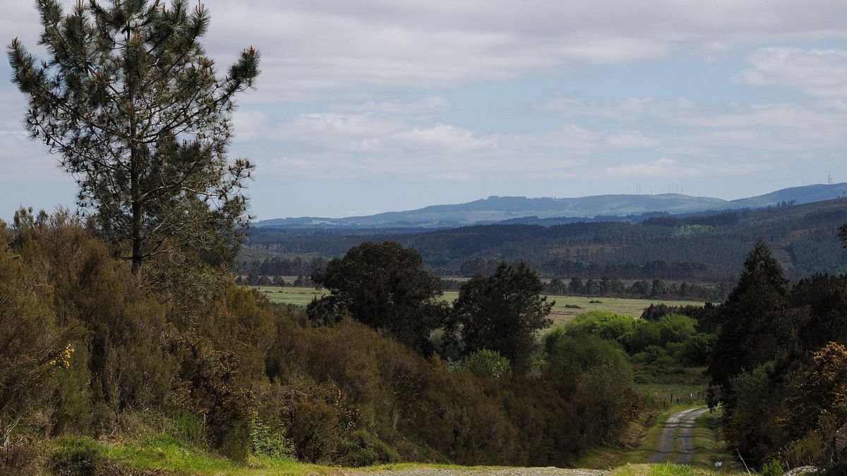 La Xunta da por hecho que la macrocelulosa de Altri ya no es viable a corto plazo y culpa al Gobierno