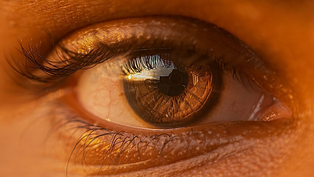 De la cámara de mi abuelo a la nanotecnología