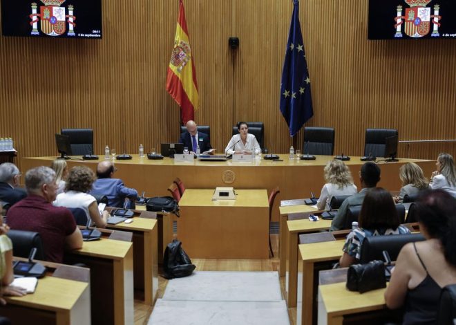 Las jornadas de Vox en el Congreso: la persecución al “varón español” y los migrantes como culpables de casi todo