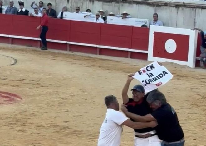 Un activista de PETA se cuela en una plaza de toros de Nimes para denunciar la «sangrienta crueldad» de la tauromaquia
