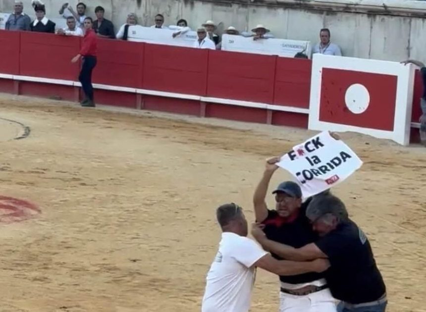 Un activista de PETA se cuela en una plaza de toros de Nimes para denunciar la «sangrienta crueldad» de la tauromaquia