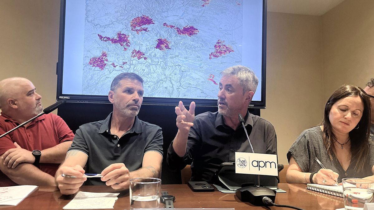 Los mayores expertos en incendios exigen a los políticos que escuchen sus propuestas: “Lo que viene es mucho peor”