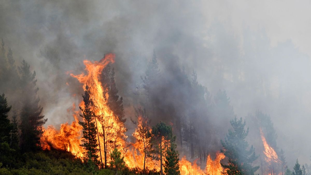 El cambio climático amenaza a la economía y a la seguridad alimentaria de Europa