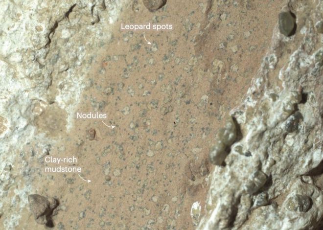 La NASA halla unas manchas en Marte que podrían ser huellas de vida microbiana… o no