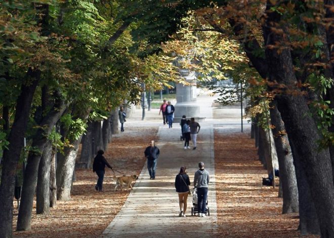 Las temperaturas en Madrid siguen en descenso y con posibles heladas en la Sierra