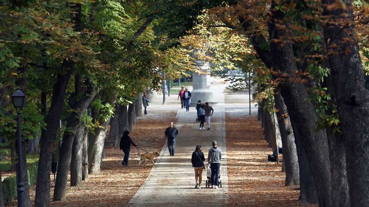 Las temperaturas en Madrid siguen en descenso y con posibles heladas en la Sierra