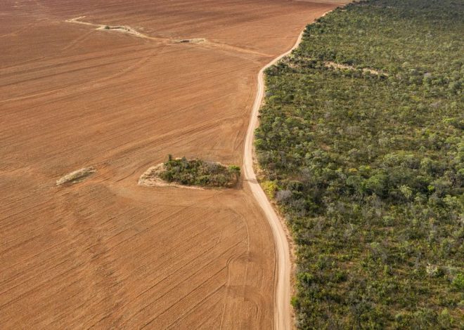 La forma de producir comida amenaza el funcionamiento del planeta: gases, consumo de agua y extinciones