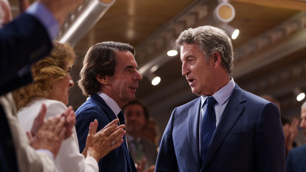 La inepta oposición