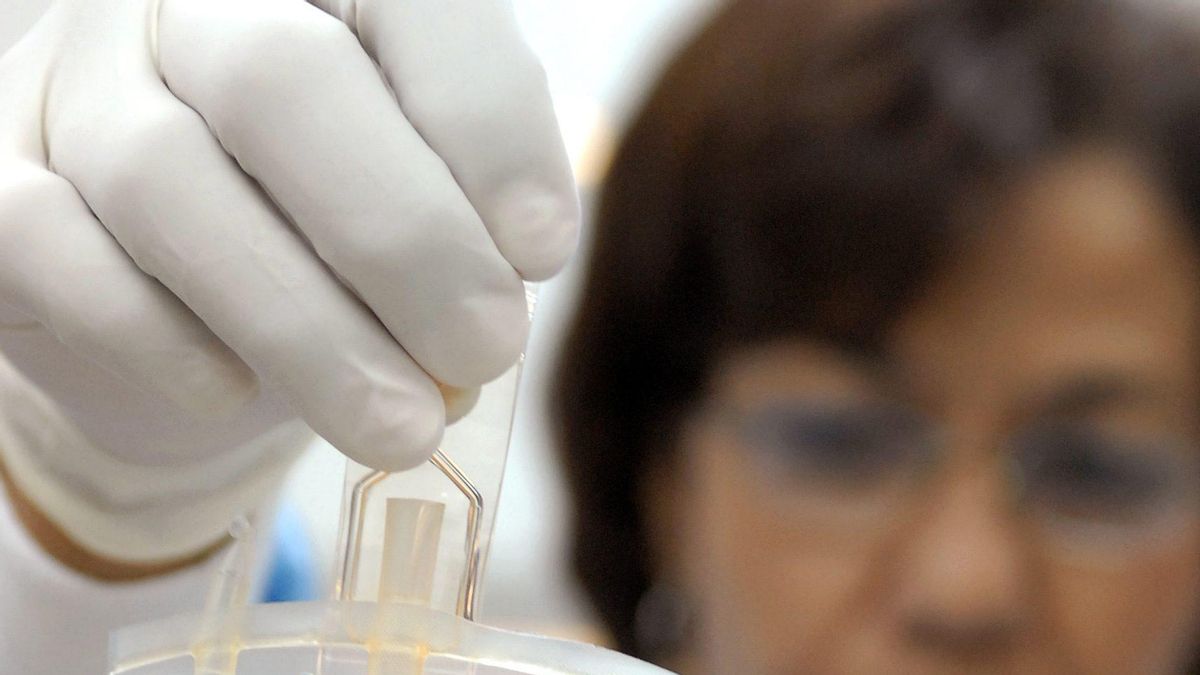 Una terapia génica logra ser eficaz a largo plazo en «niños burbuja» con una enfermedad rara grave