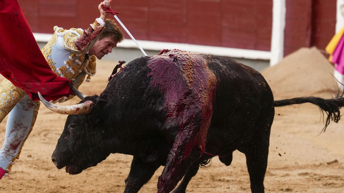 Los promotores de la ILP contra la tauromaquia acusan al PSOE de engañarles: «La traición es tremenda»