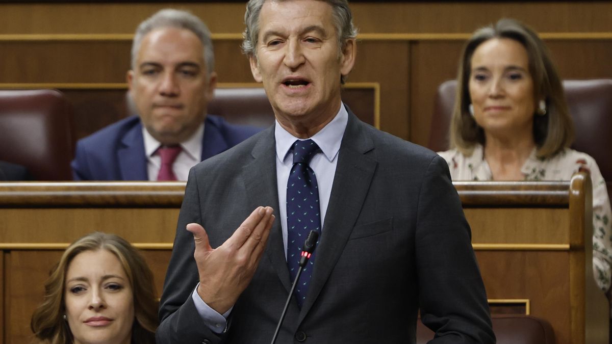 Consejos vendo y para mí no tengo