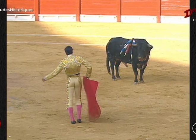 À Punt emite un programa de corridas de toros «históricas» mientras miles de personas se manifiestan contra Mazón un año después de la dana