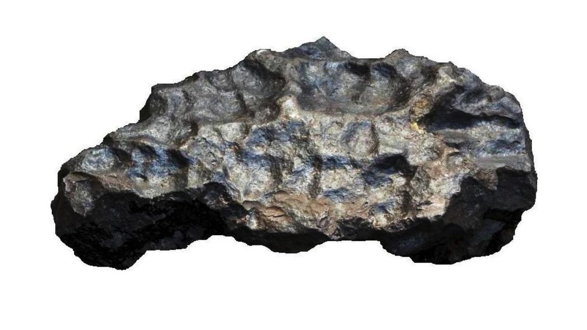 Un juez tumba la última vía legal para que el meteorito más importante de España regrese al Museo de Ciencias Naturales