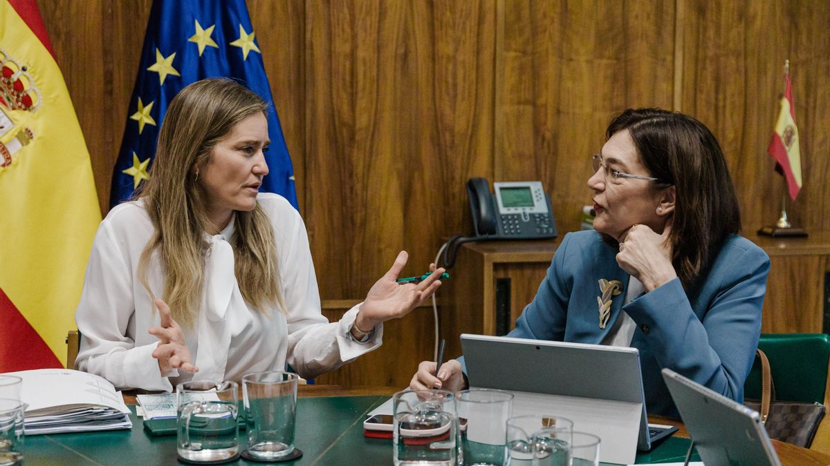 Las medidas antiapagones que pide Red Eléctrica retratan seis años de inacción de Competencia en el control de tensión