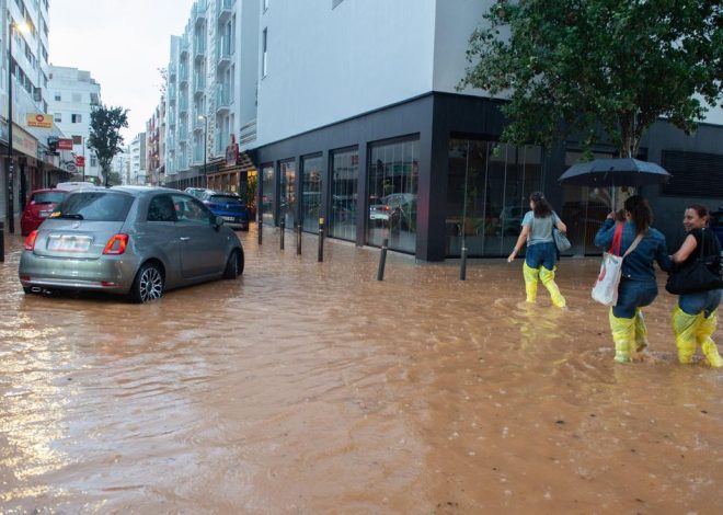 Los estragos en Ibiza tras el paso del temporal obligan a la UME a enviar 150 efectivos más