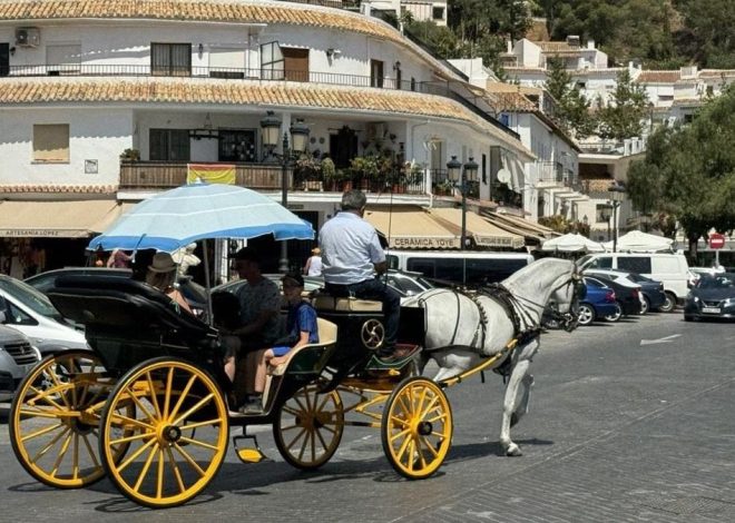 Málaga acaba con los coches turísticos de caballos y abre el debate a su veto en otras ciudades