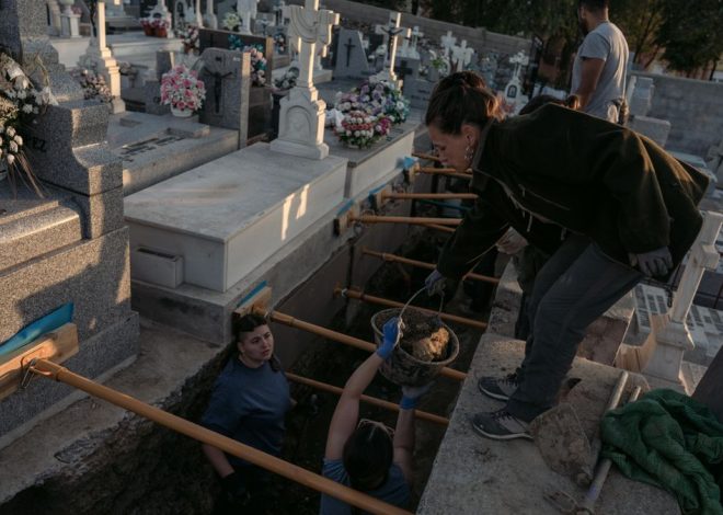 El Gobierno financiará la fase final de la mayor exhumación de republicanos en Madrid tras dos años de espera