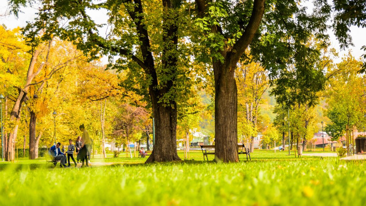 Desde la calidad del sueño a la salud de nuestros ojos: los motivos por los que deberíamos salir más a la calle
